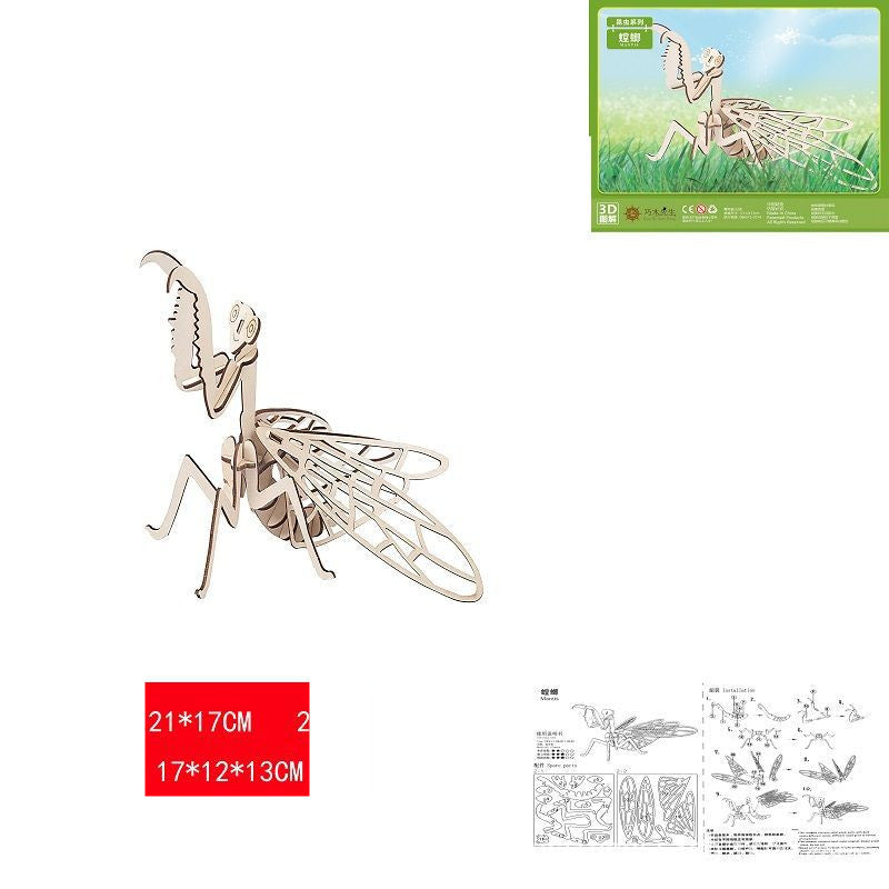 New Wooden 3D Panel Insect Model Toy