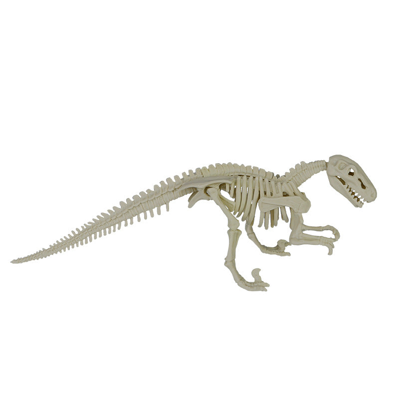 Lite 9 Assembled Dinosaur Archaeological Excavation Toys