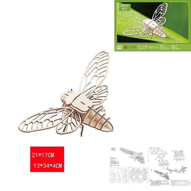 New Wooden 3D Panel Insect Model Toy