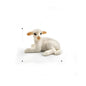 Children's Scientific And Educational Imitation Sheep Made A Sheep Model