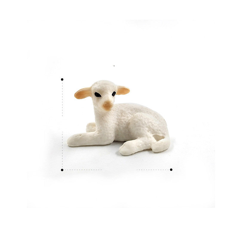 Children's Scientific And Educational Imitation Sheep Made A Sheep Model