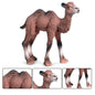 Children's Cognitive Solid Simulation Wild Animal Decoration