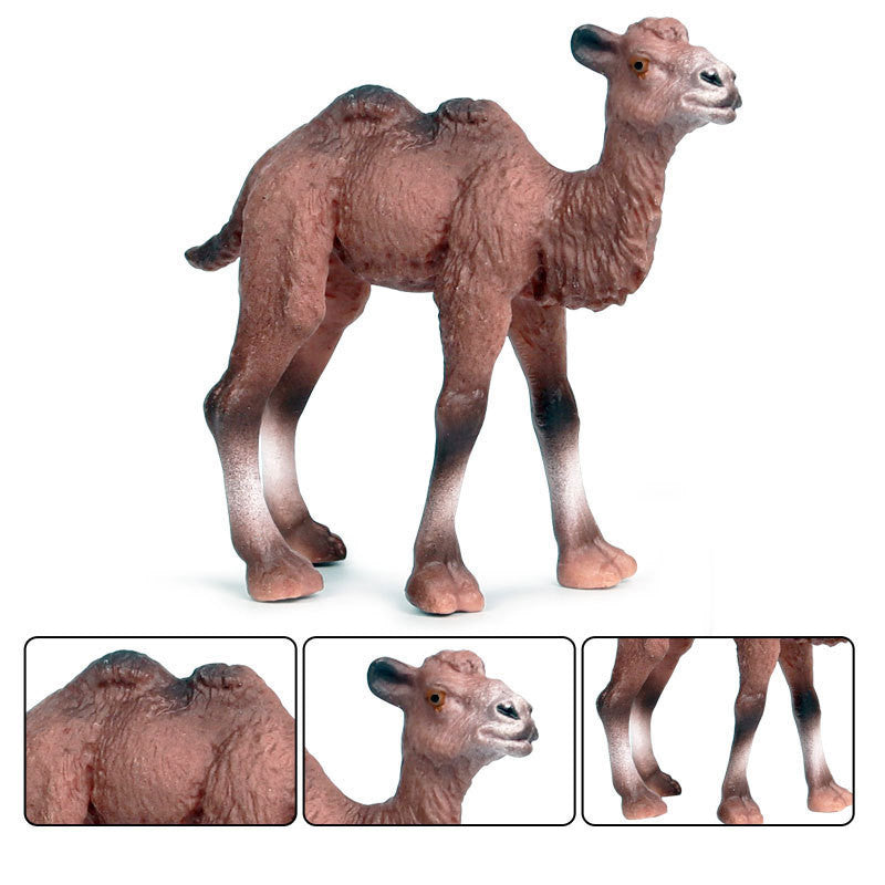 Children's Cognitive Solid Simulation Wild Animal Decoration
