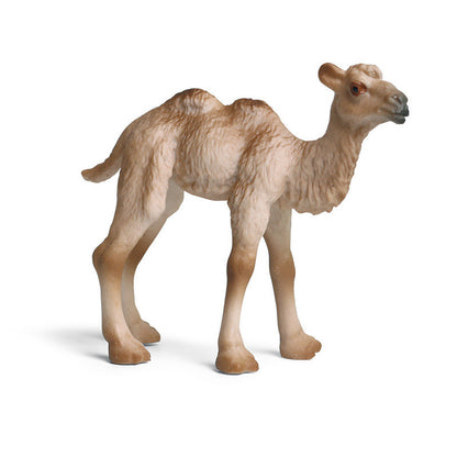 Children's Cognitive Solid Simulation Wild Animal Decoration