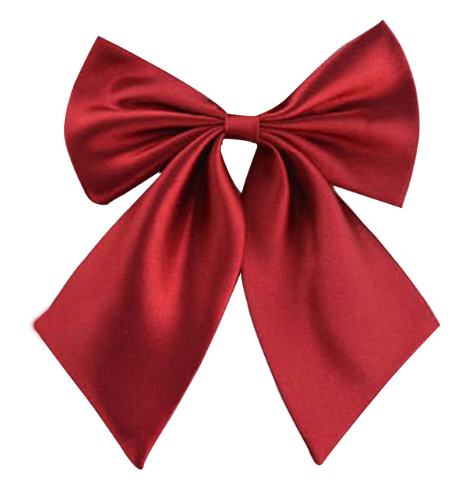 Women's professional dress female college wind Japanese and Korean version of the student bank hotel bow tie collar flower