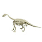 Lite 9 Assembled Dinosaur Archaeological Excavation Toys