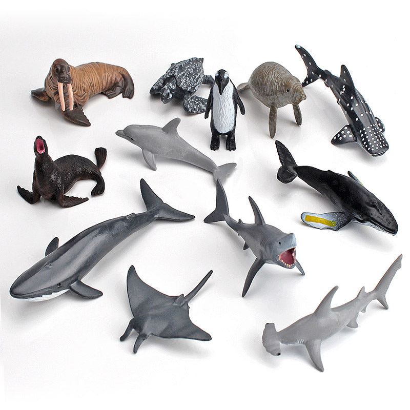 Simulation Trumpet Marine Biological Model Combination Solid