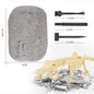 Lite 9 Assembled Dinosaur Archaeological Excavation Toys