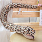 N Snake