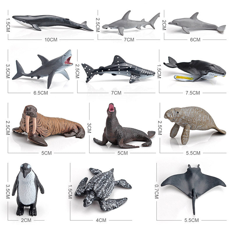 Simulation Trumpet Marine Biological Model Combination Solid