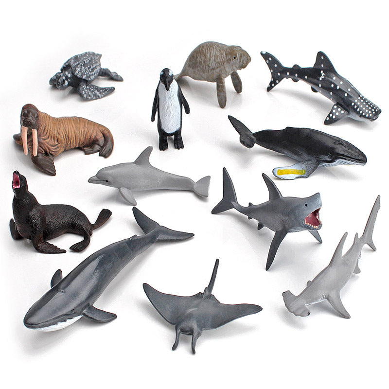Simulation Trumpet Marine Biological Model Combination Solid
